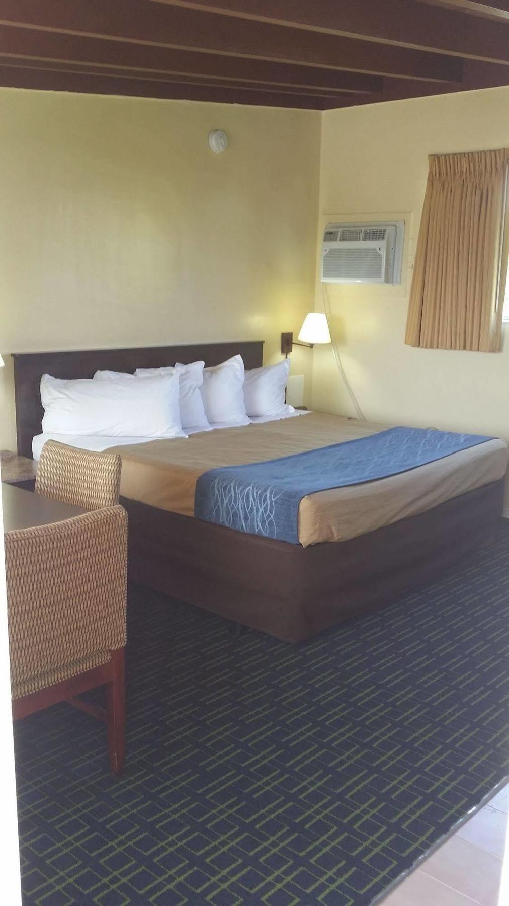 The Palms On Ocean Motel Pompano Beach Eksteriør bilde