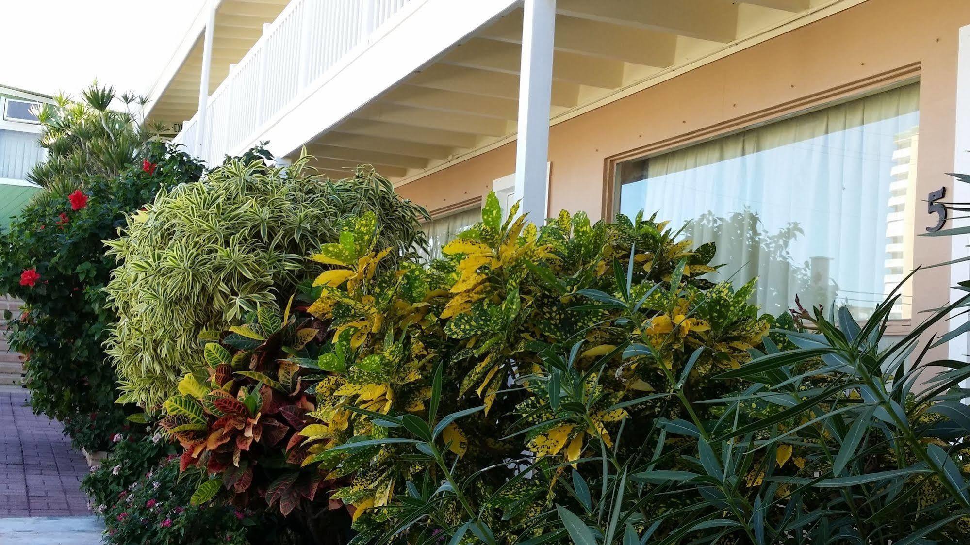 The Palms On Ocean Motel Pompano Beach Eksteriør bilde